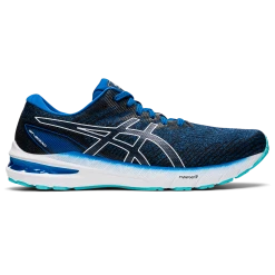 Asics Men's GT-2000 10 (401 - Lake Drive/White)