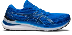 Asics Men's Gel-Kayano 29 (400 - Electric Blue/White)