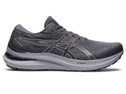 Asics Men's Gel-Kayano 29 EXTRA-WIDE (021 - Metropolis/White)