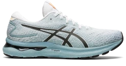 Asics Men’s Gel-Nimbus 24 (404 - Light Steel/White)