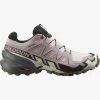 Salomon Women’s Speedcross 6 Gore-Tex (Ashes Of Roses/Black/Olive Night) -Swiftwick Shop D305FE8C 68FA 42A9 B1DB A6C4E632E574 2000x2000