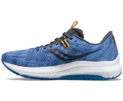 Saucony Women's Omni 21 (30 - Horizon/Shadow) -Swiftwick Shop S10762 30 2 2400x1980